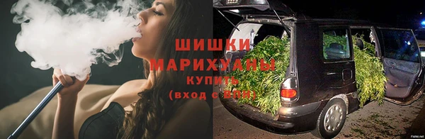 ПСИЛОЦИБИНОВЫЕ ГРИБЫ Верея