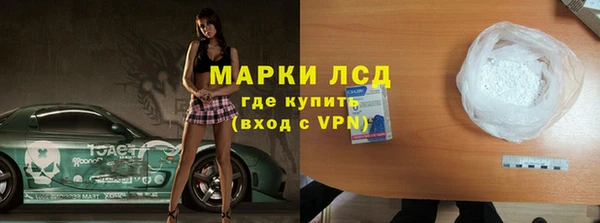 ПСИЛОЦИБИНОВЫЕ ГРИБЫ Верея