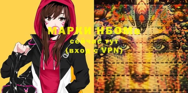 ПСИЛОЦИБИНОВЫЕ ГРИБЫ Верея