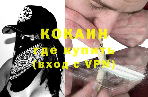 ПСИЛОЦИБИНОВЫЕ ГРИБЫ Верея