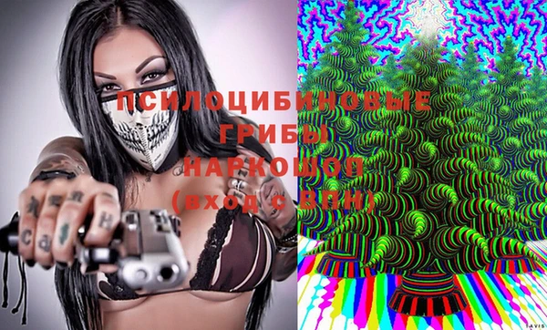 spice Верхний Тагил
