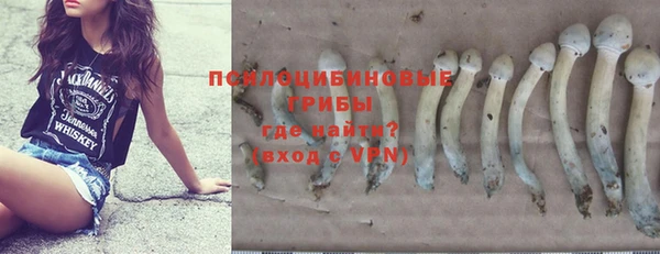 spice Верхний Тагил